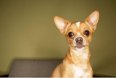 《当火车鸣笛三秒》延期至8月底，为将游戏臻至完美